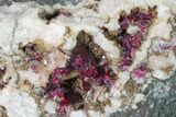 Roselite Crystal Clusters on Dolomite - Morocco #141664-1